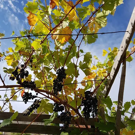 Апартаменты Ehemalige Klosterschmiede -wirtschaftswunder-