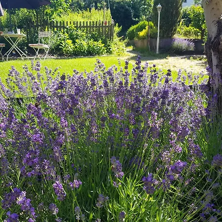 Апартаменты Ehemalige Klosterschmiede -wirtschaftswunder-